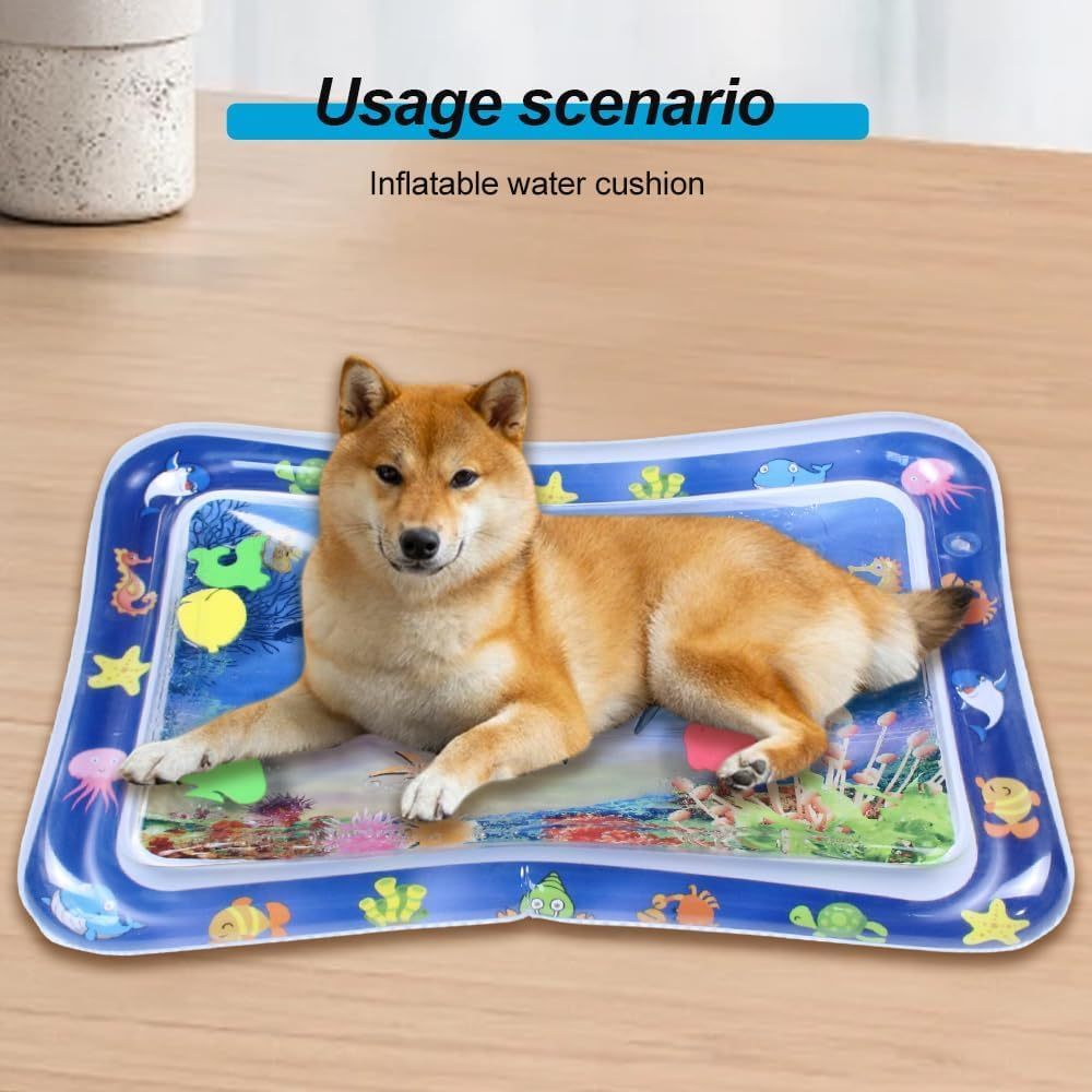 Thickened Sensory Water Play Mat For Cats
