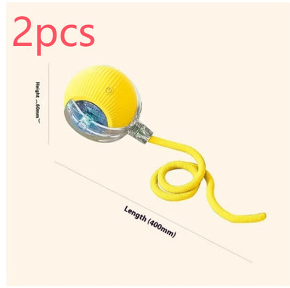 Electric Automatic Cat Ball Self-Entertainment