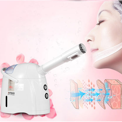 Beauty Hot And Cold Face Steamer Moisturizing Spray